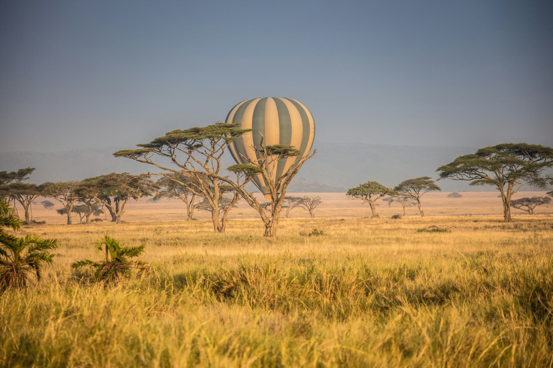 Plains & Islands Honeymoon