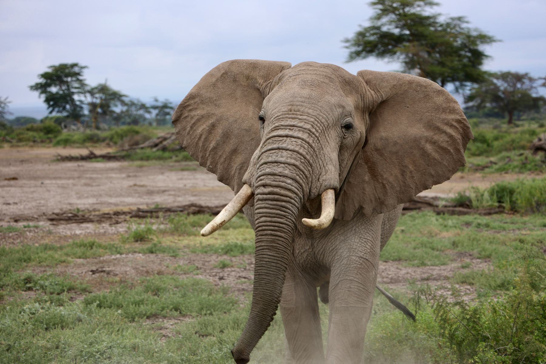 Tarangire National Park