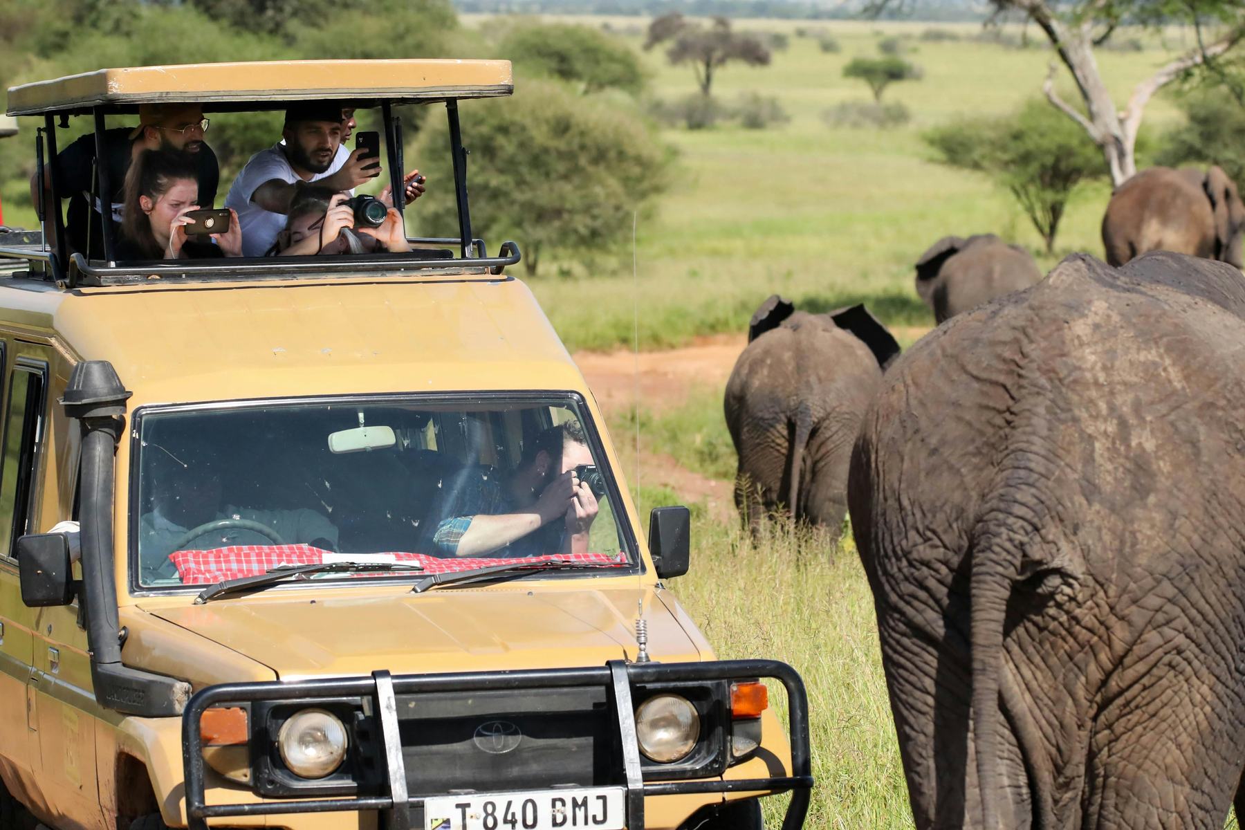 Guests photographing elephants from a Nayara Africa Land Cruiser
