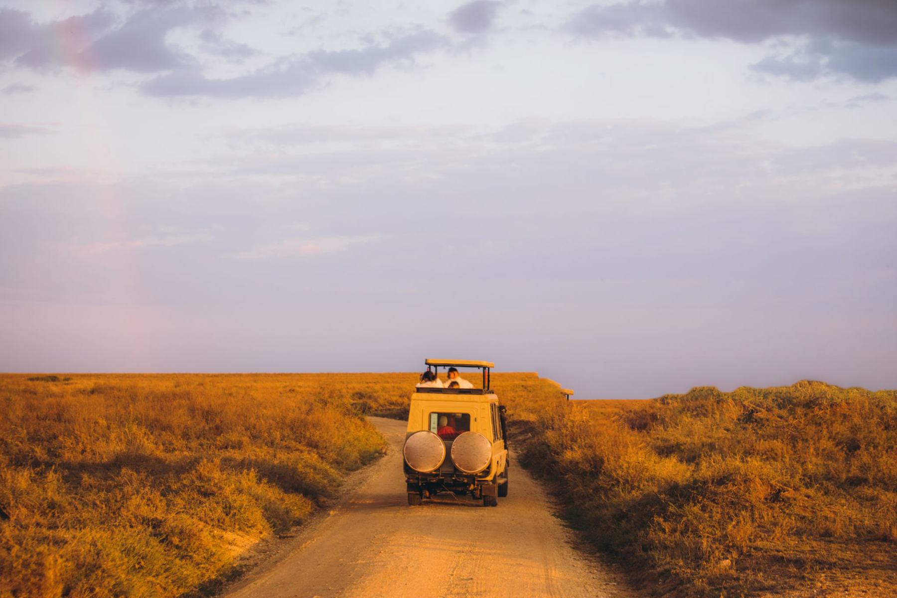 Tanzania Safari Costs in 2026: What $3,000, $6,000 and $12,000 Actually Buy